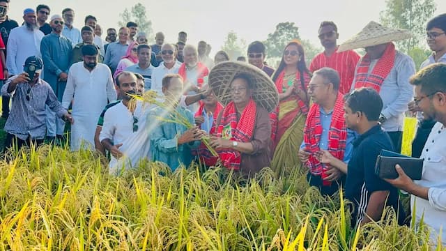 কৃষি খাতের উন্নয়নে সর্বোচ্চ গুরুত্ব দিচ্ছে বিএনপি সরকার:  আইসিটি মন্ত্রী ফকির মাহবুব আনাম স্বপন