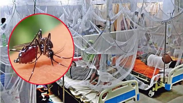 ডেঙ্গুতে আরও ৪ জনের মৃত্যু, হাসপাতালে ১৩১৪