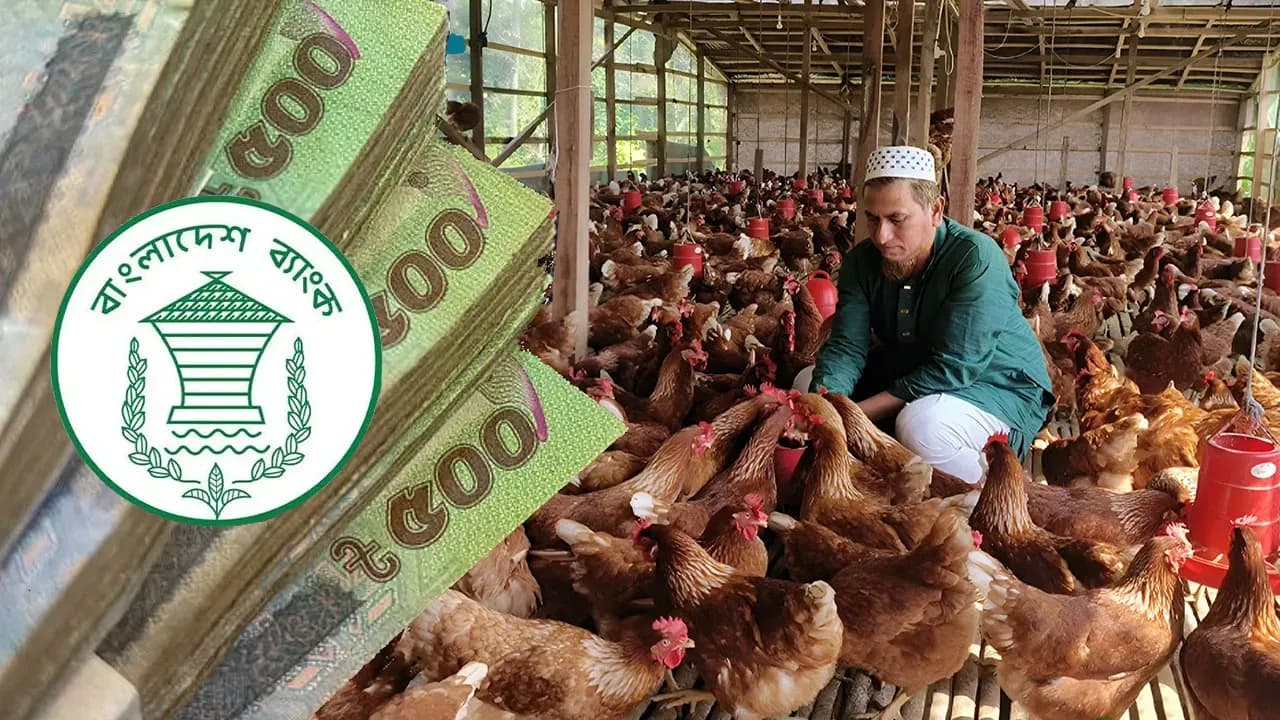 ২০ লাখ টাকা জামানতবিহীন ঋণ, আবেদন করতে পারবেন যেসব উদ্যোক্তা