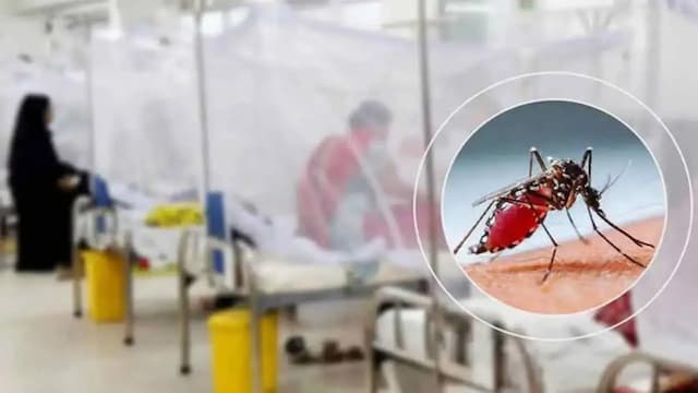 ডেঙ্গুতে আক্রান্ত হয়ে হাসপাতালে ২১৫৮ জন, মৃত্যু ৬